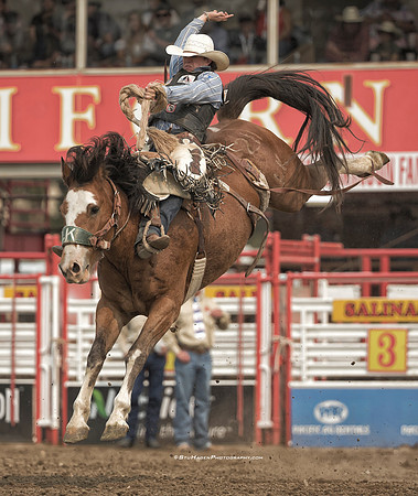 Chase Brooks, PRCA Saddle Bronc Rider
