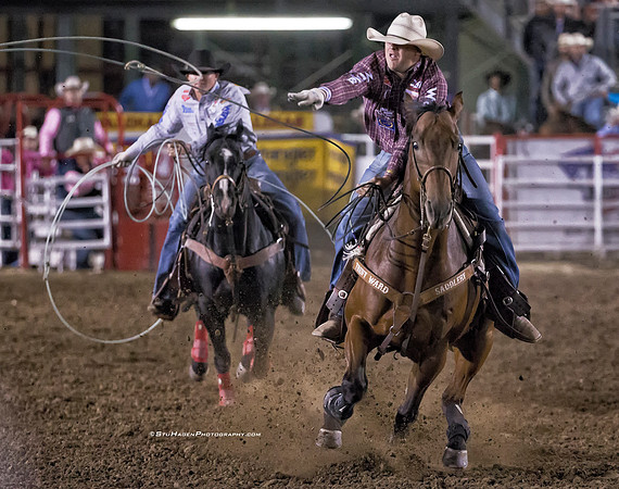 Tyler Wade, PRCA Team Roper