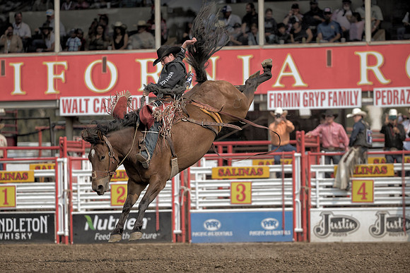 Layton Green, PRCA Saddle Bronc Rider