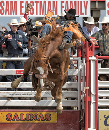 Kaycee Feild, PRCA Bareback Rider