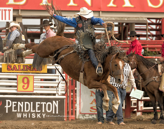 Stetson Wright, PRCA Saddle Bronc Rider