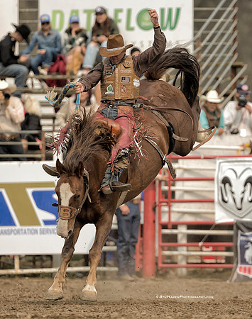 Cody DeMoss, PRCA Saddle Bronc Rider