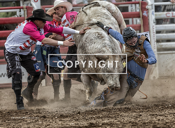 15 - Kyle Eaton, Logan Blasdell, Shane Jennings & Josh Daries - 2025 Clovis Rodeo