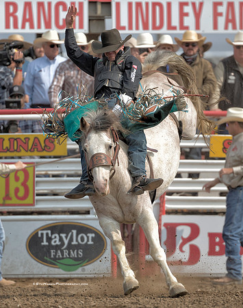 Tanner Aus, PRCA Bareback Rider