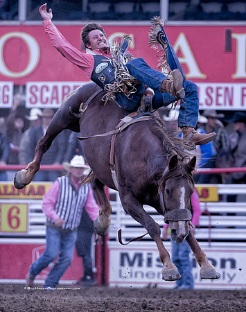 PRCA Bareback Rider