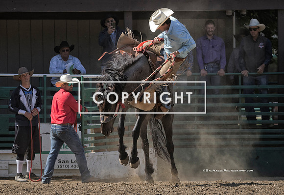 1 - Josiah White - 2024 Rowell Ranch Rodeo - Saturday Perf