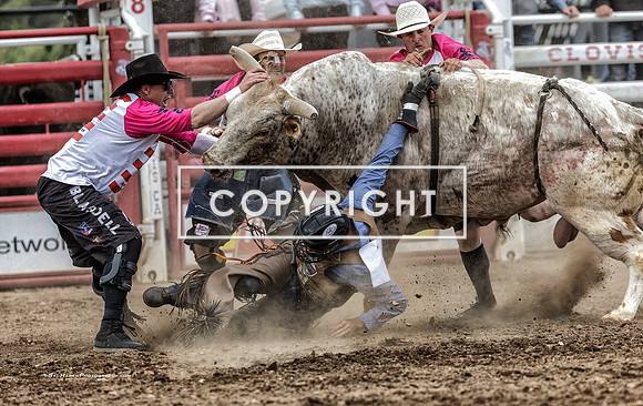 9 - Kyle Eaton, Logan Blasdell, Shane Jennings & Josh Daries - 2025 Clovis Rodeo