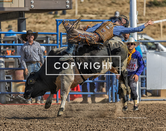 14 - Kyle Eaton - 2025 Santa Maria Elks Rodeo