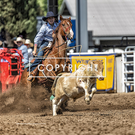 3 - Brooke Bruner - 2024 Clovis Rodeo Round Two