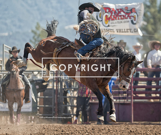 9 - Leland King - 2024 Old Santa Ynez Days Rodeo