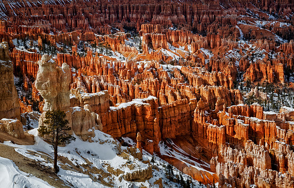 Below Bryce Point