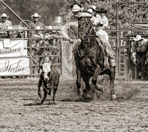 San Dimas Western Days Rodeo Tie Down Roping