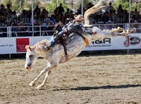 Will Lowe