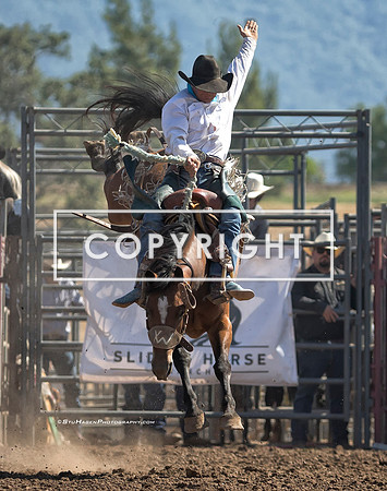 3 - Noel Johnson - 2024 Old Santa Ynez Days Rodeo