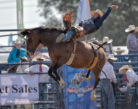 Evan Jayne On R58 Gold Buckle CC