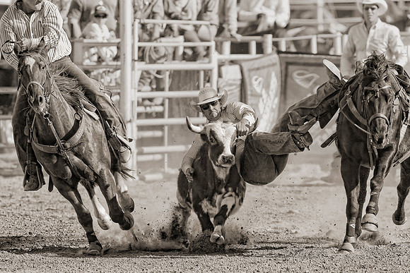 Brawley Steer Wrestler