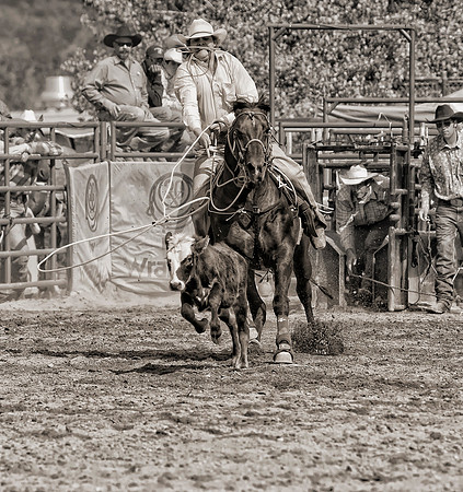 San Dimas Tie Down Roping 2