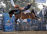 Bareback