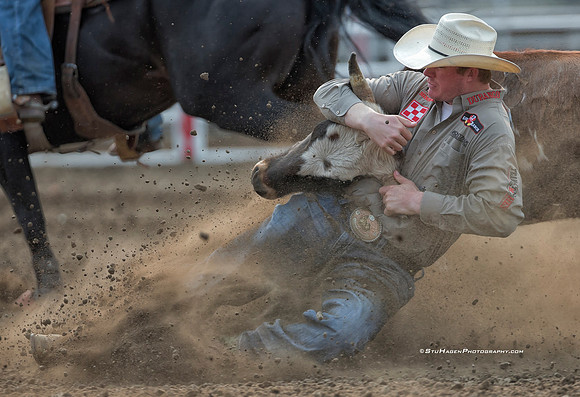 Ty Erickson, PRCA Steer Wrestler