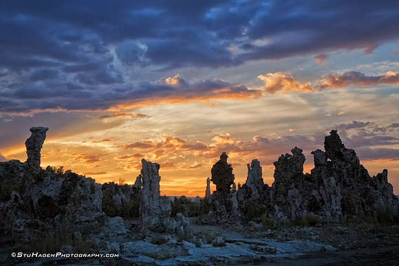 Sentinels Of The Sun