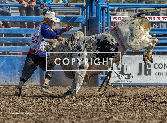 1 - Warren Enz - 2025 Santa Maria Elks Rodeo