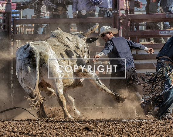 3 - Warren Enz - 2025 Old Santa Ynez Days Rodeo