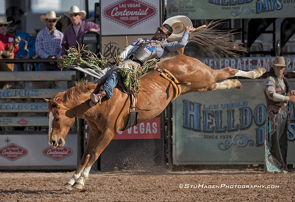 Anthony Thomas On Echo Bay Of Bar T Rodeo