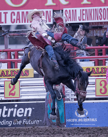 PRCA Bareback Rider