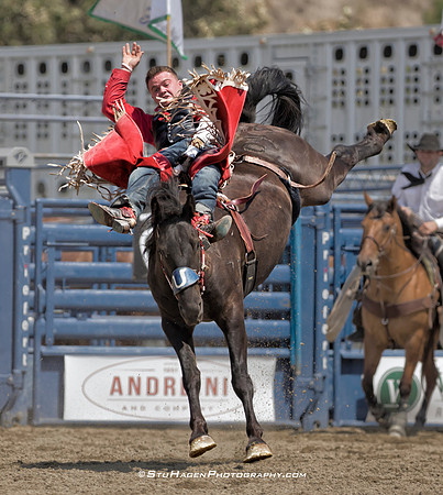 Shane O'Connell On 045 Colt 45 RO