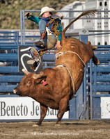 Bull Riding