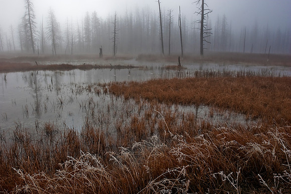 Geyser Mist