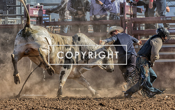 2 - Warren Enz - 2025 Old Santa Ynez Days Rodeo