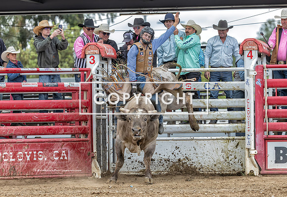 1 - Kyle Eaton - 2025 Clovis Rodeo Re-Ride