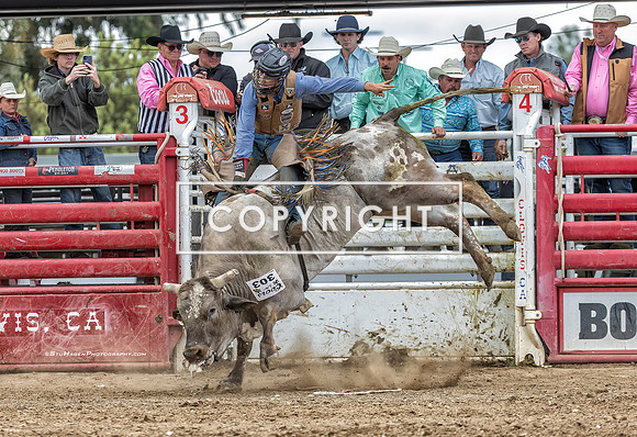 2 - Kyle Eaton - 2025 Clovis Rodeo Re-Ride