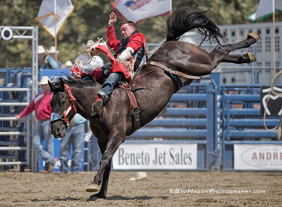 Shane O'Connell On 045 Colt 45 RO