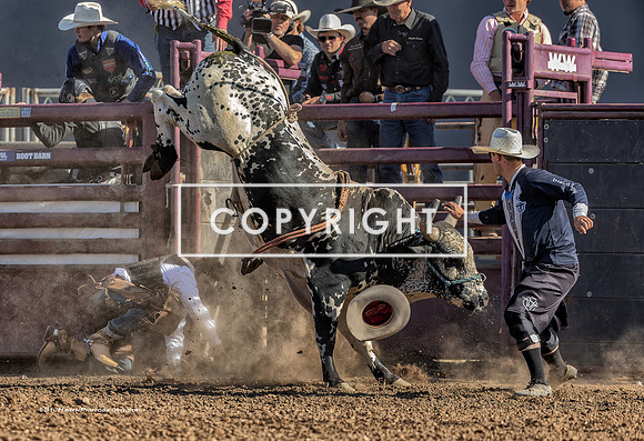 4 - Warren Enz  - 2025 Old Santa Ynez Days Rodeo