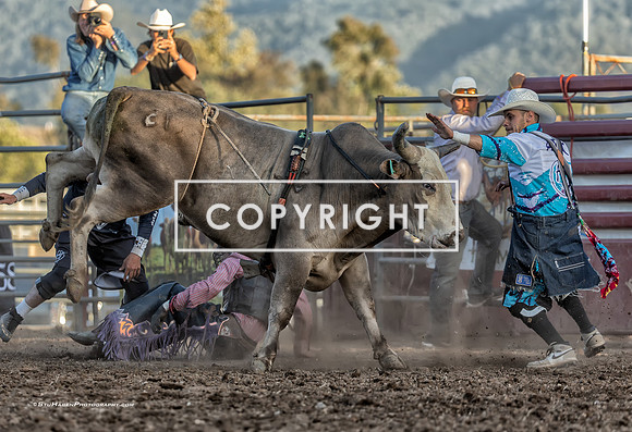 1 - Abraham Ansolabehere  - 2025 Old Santa Ynez Days Rodeo
