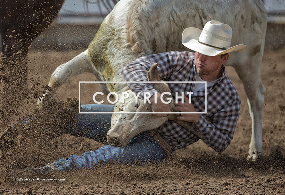 1 - Boyd Sawyer - 2024 Clovis Rodeo Tuesday Slack