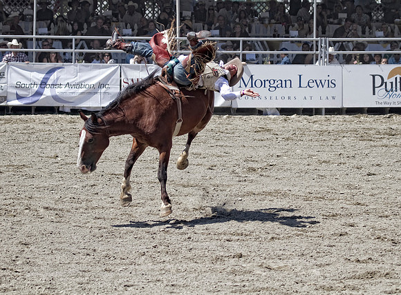 Rag Doll Cowboy