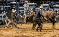 Bull Fighters