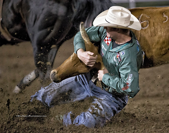 Ty Erickson, PRCA Steer Wrestler