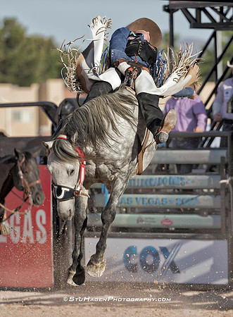 Wyatt Bloom On Blue Indigo