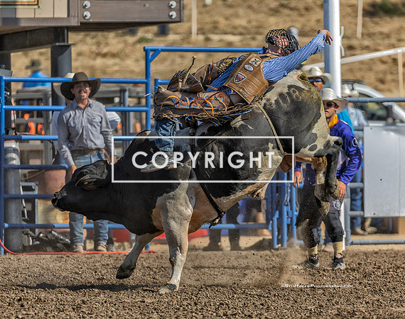 15 - Kyle Eaton - 2025 Santa Maria Elks Rodeo