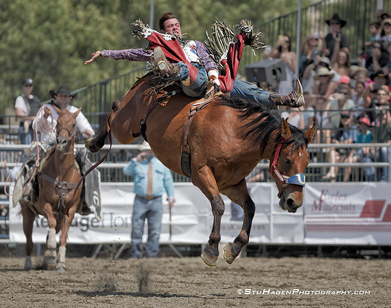 Tim O'Connell, PRCA Pro Rodeo Bareback Rider