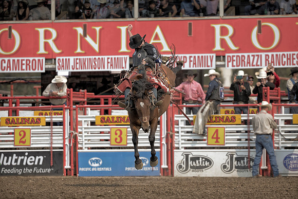 Layton Green, PRCA Saddle Bronc Rider