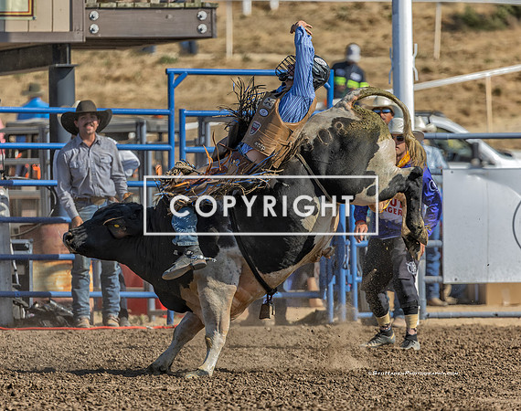 16 - Kyle Eaton - 2025 Santa Maria Elks Rodeo