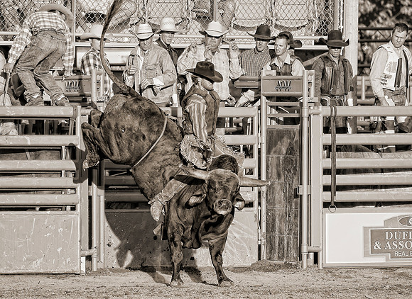 Black Hat On A Black Bull