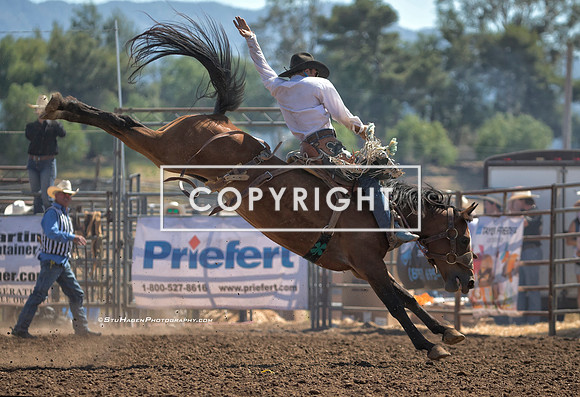 7 - Noel Johnson - 2024 Old Santa Ynez Days Rodeo