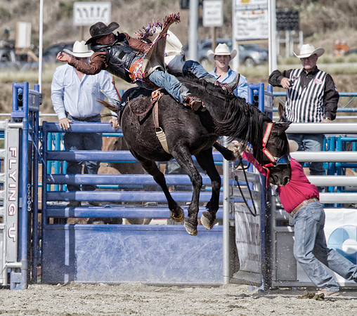 Cody DaMers