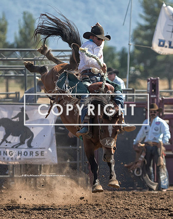 5 - Noel Johnson - 2024 Old Santa Ynez Days Rodeo